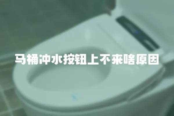 馬桶沖水按鈕上不來啥原因