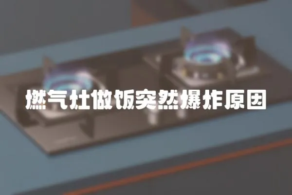 燃氣灶做飯突然爆炸原因