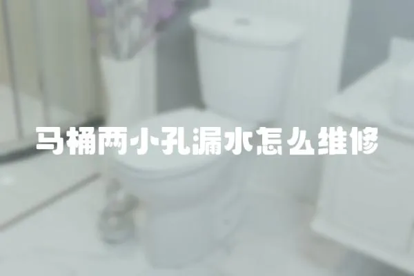 馬桶兩小孔漏水怎么維修