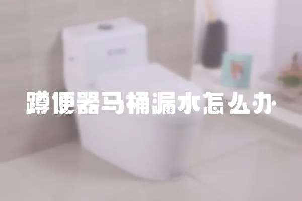 蹲便器馬桶漏水怎么辦