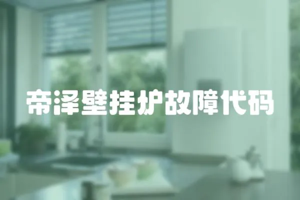 帝澤壁掛爐故障代碼