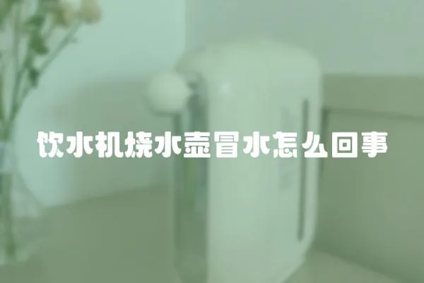 饮水机烧水壶冒水怎么回事