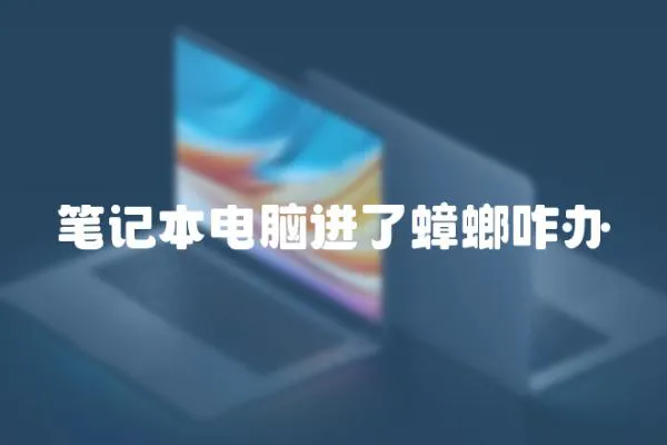 筆記本電腦進了蟑螂咋辦