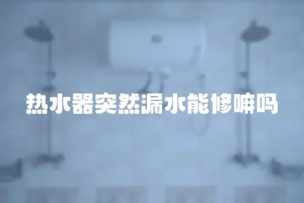 熱水器突然漏水能修嘛嗎