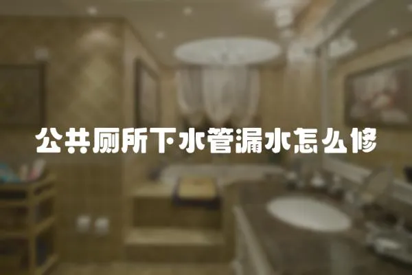 公共廁所下水管漏水怎么修