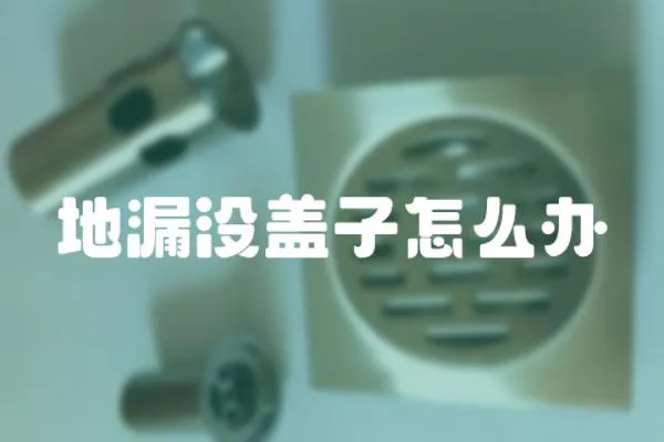 地漏沒蓋子怎么辦