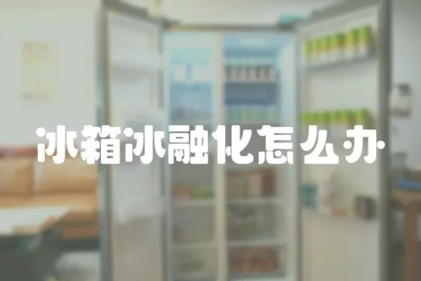 冰箱冰融化怎么辦