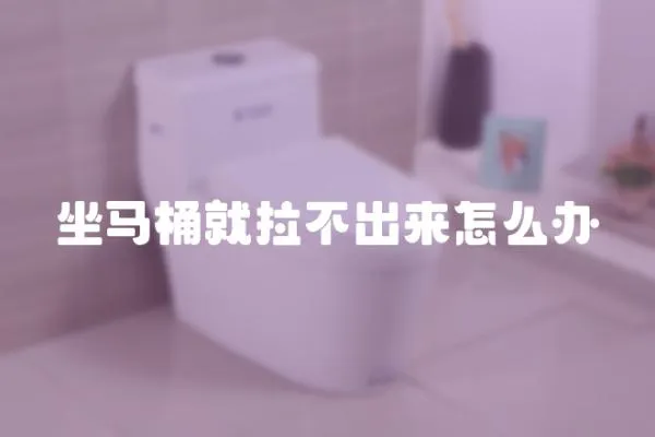 坐馬桶就拉不出來怎么辦