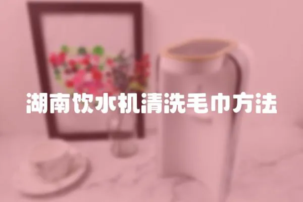 湖南飲水機清洗毛巾方法