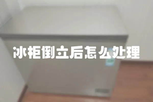冰柜倒立后怎么處理