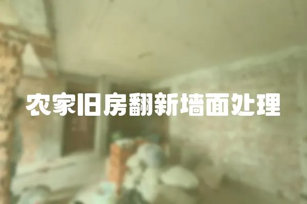 農家舊房翻新墻面處理