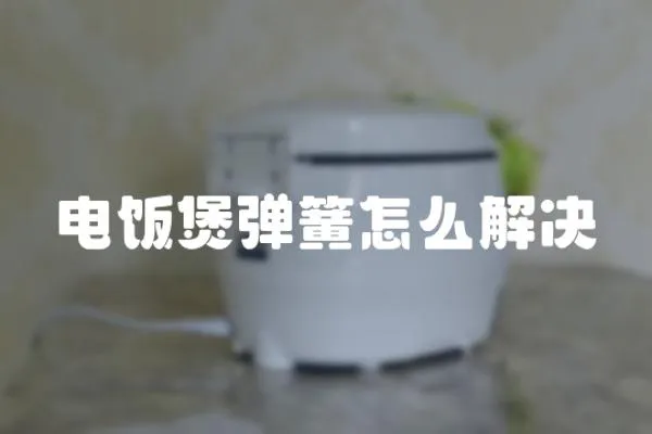 電飯煲彈簧怎么解決