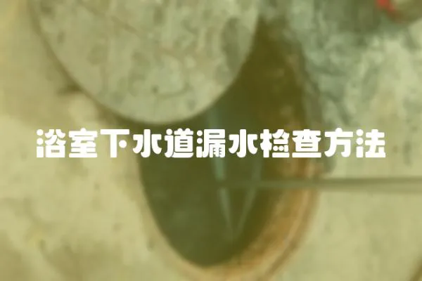 浴室下水道漏水檢查方法
