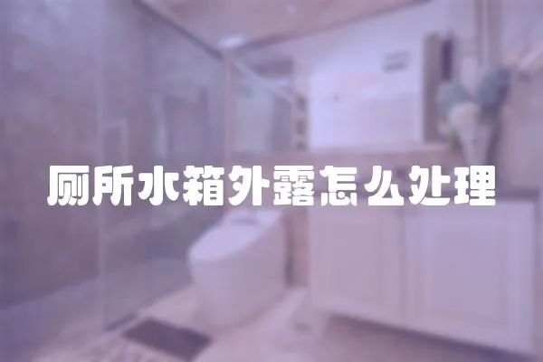 廁所水箱外露怎么處理