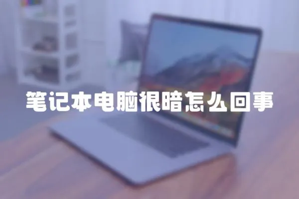 筆記本電腦很暗怎么回事