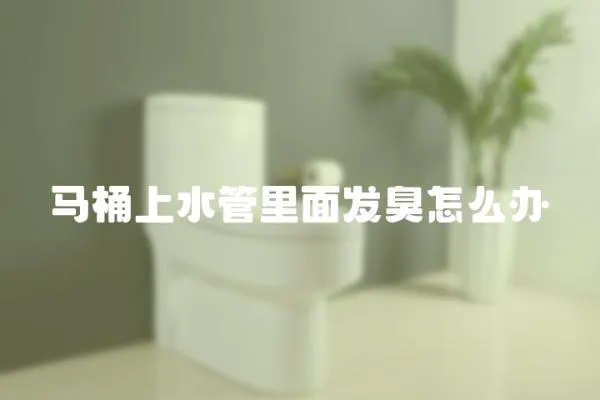 馬桶上水管里面發臭怎么辦
