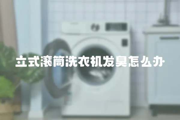 立式滾筒洗衣機發(fā)臭怎么辦