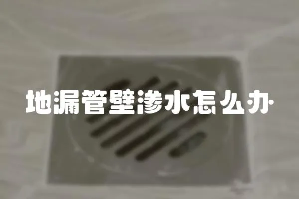 地漏管壁滲水怎么辦