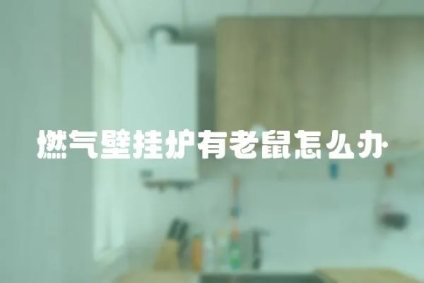 燃氣壁掛爐有老鼠怎么辦