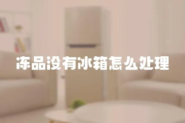 凍品沒有冰箱怎么處理