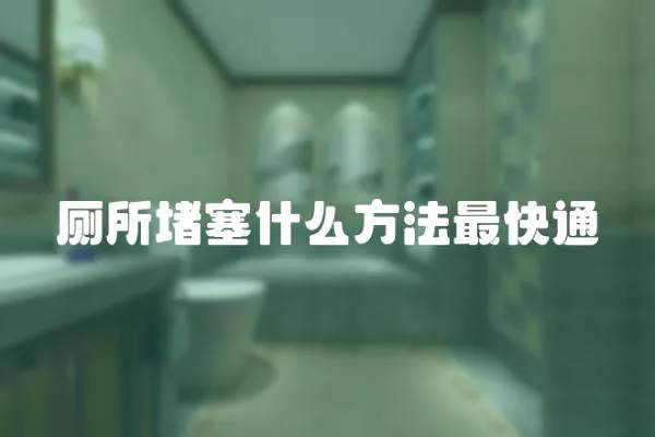 廁所堵塞什么方法最快通