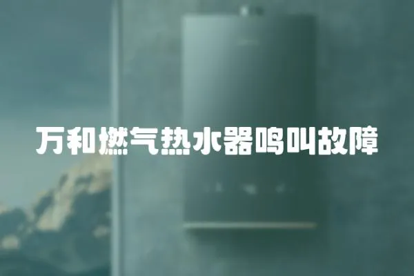 萬和燃氣熱水器鳴叫故障