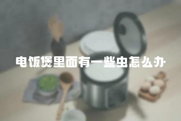 電飯煲里面有一些蟲怎么辦