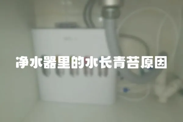 凈水器里的水長青苔原因