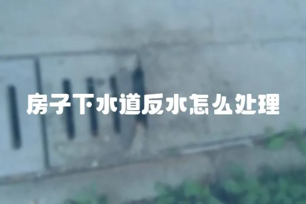 房子下水道反水怎么處理