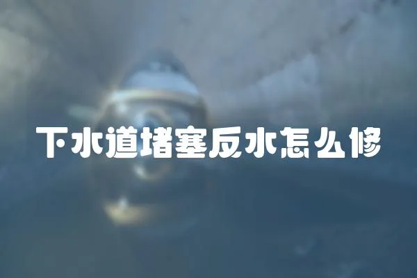 下水道堵塞反水怎么修