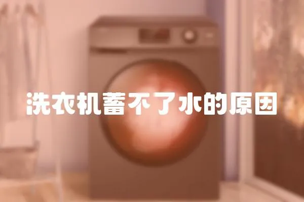 洗衣機蓄不了水的原因