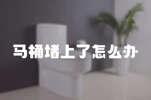 馬桶堵上了怎么辦