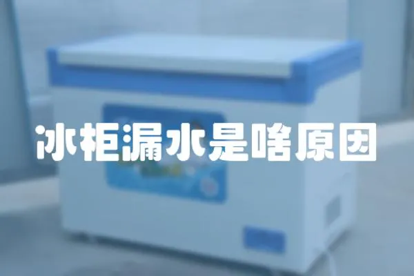 冰柜漏水是啥原因