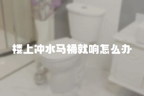樓上沖水馬桶就響怎么辦