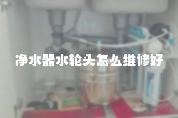 凈水器水輪頭怎么維修好