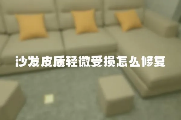 沙發(fā)皮質(zhì)輕微受損怎么修復(fù)