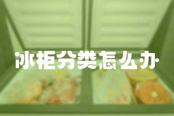 冰柜分類怎么辦