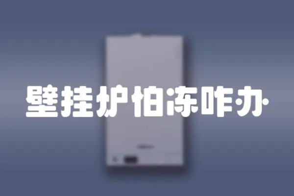 壁掛爐怕凍咋辦