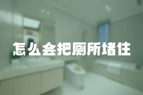 怎么會把廁所堵住