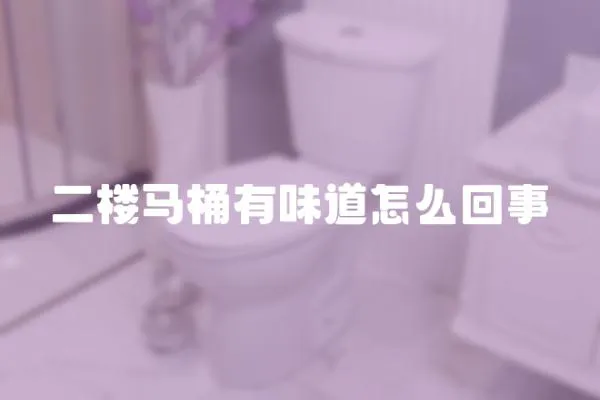 二楼马桶有味道怎么回事