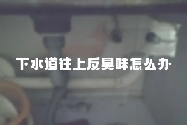下水道往上反臭味怎么辦