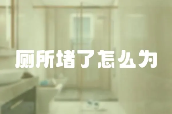 廁所堵了怎么為