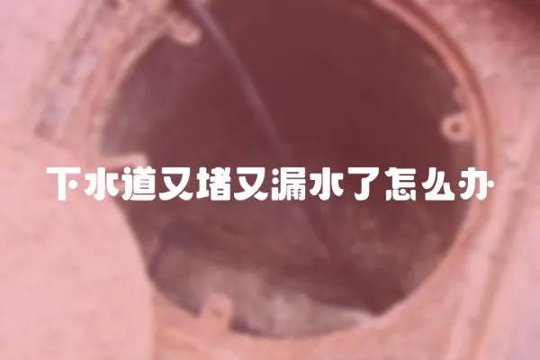 下水道又堵又漏水了怎么辦
