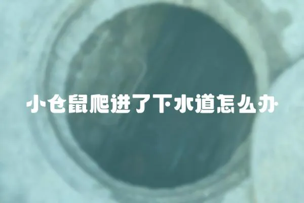 小倉鼠爬進(jìn)了下水道怎么辦