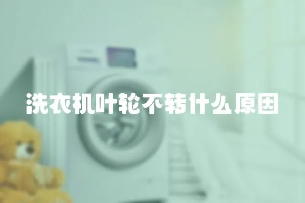 洗衣機葉輪不轉什么原因