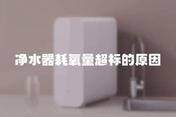 凈水器耗氧量超標的原因
