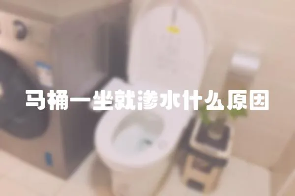 马桶一坐就渗水什么原因