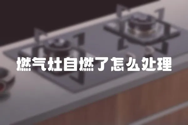 燃?xì)庠钭匀剂嗽趺刺幚?></a></div>
                    <div   id=