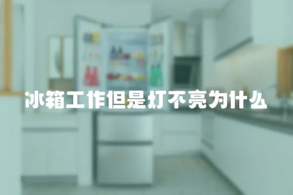 冰箱工作但是燈不亮為什么