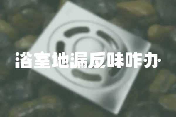 浴室地漏反味咋辦